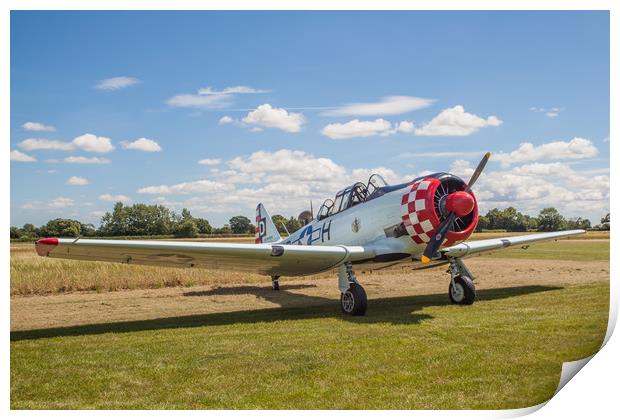 at-6D Harvard III (T6 Texan)  Print by Kevin Snelling