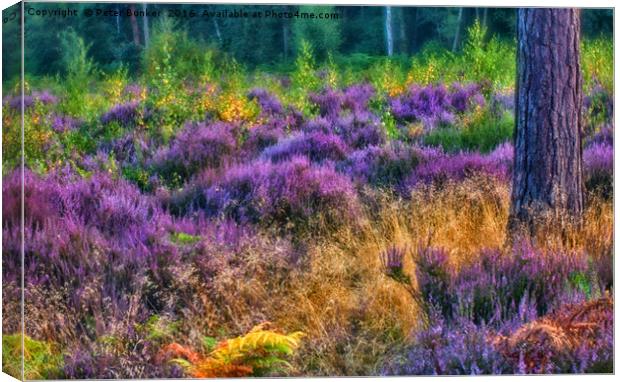 Littleworth Common.  Canvas Print by Peter Bunker