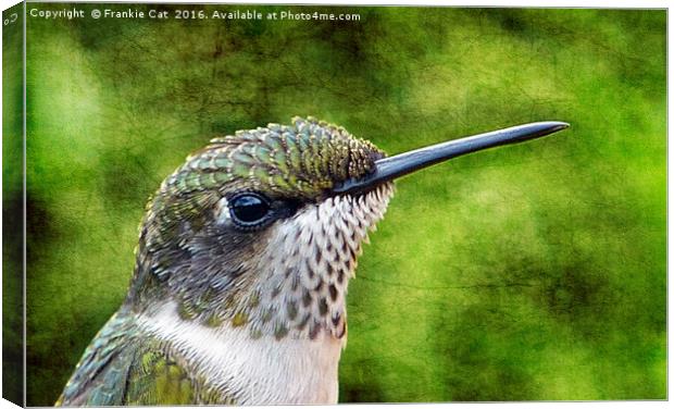 Little Hummer Canvas Print by Frankie Cat