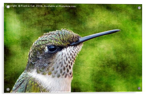 Little Hummer Acrylic by Frankie Cat