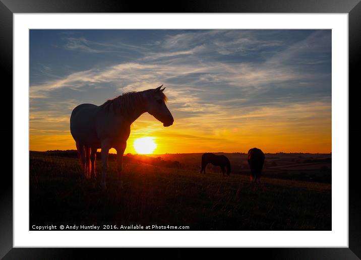 Horse in sunset Framed Mounted Print by Andy Huntley