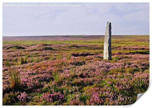 Heather Grouse Moorland in Nidderdale Print by Martyn Arnold