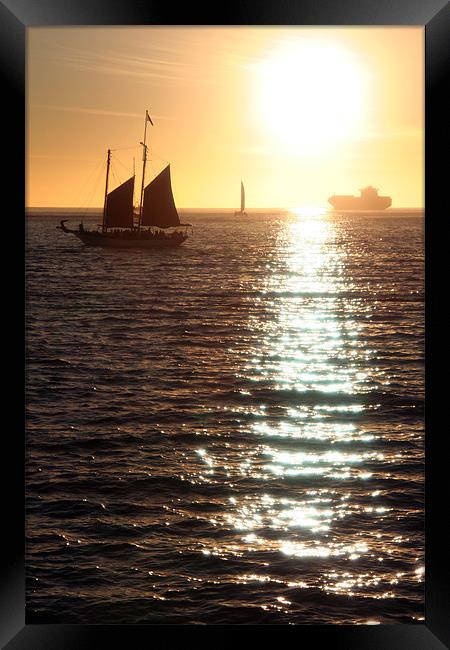 Sunset Sailing Framed Print by Andre Buys