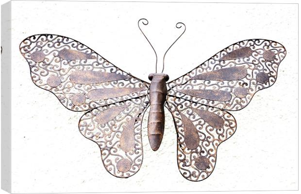 Metal Butterfly Canvas Print by Alexia Miles