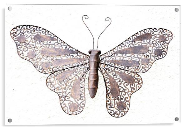 Metal Butterfly Acrylic by Alexia Miles