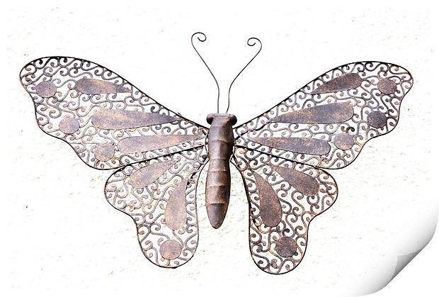 Metal Butterfly Print by Alexia Miles