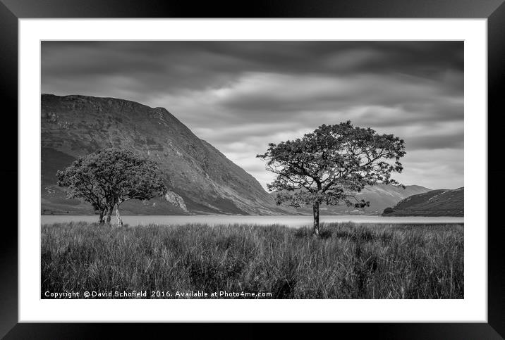 Trees at Crummock Water Framed Mounted Print by David Schofield