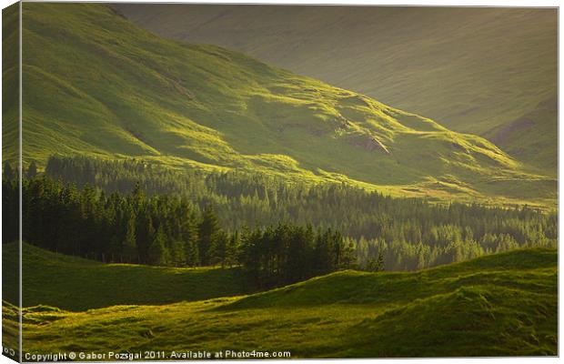 Sunlit green Scottish landscape Canvas Print by Gabor Pozsgai