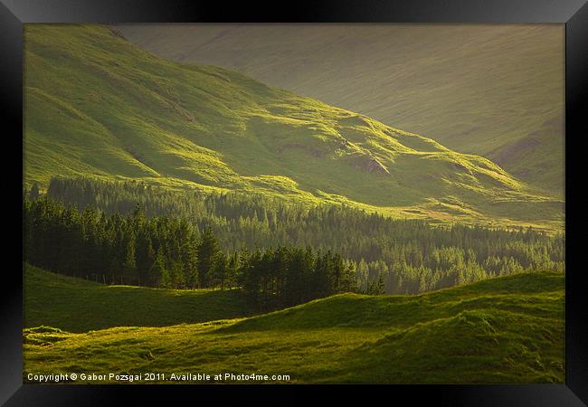 Sunlit green Scottish landscape Framed Print by Gabor Pozsgai