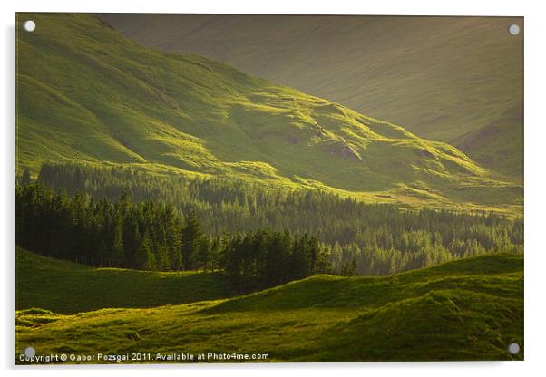 Sunlit green Scottish landscape Acrylic by Gabor Pozsgai