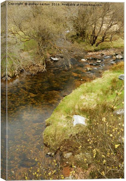 CLEAR WATER Canvas Print by andrew saxton