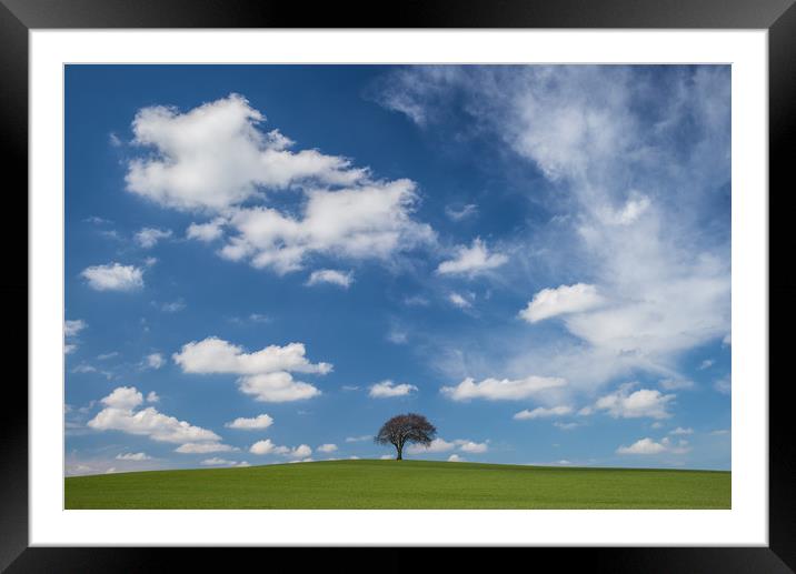 How Hill Tree Framed Mounted Print by David Pulford