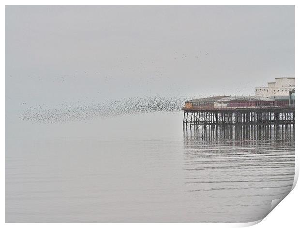 Murmuration Print by Victor Burnside