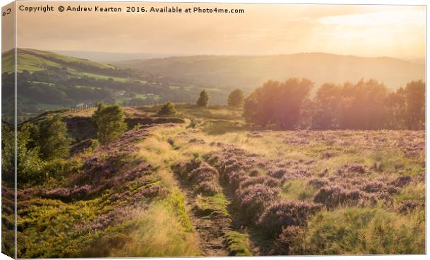 Sunset glow on a summer landscape Canvas Print by Andrew Kearton