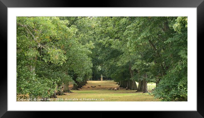 The Avenue Framed Mounted Print by Jane Emery