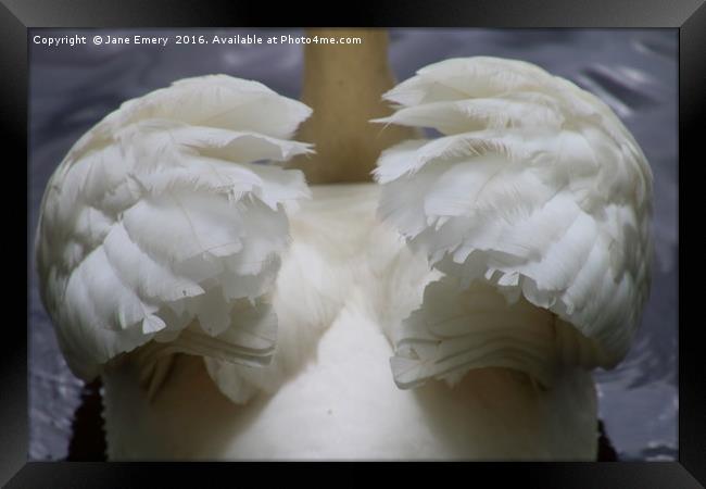 Wings of a Swan Framed Print by Jane Emery