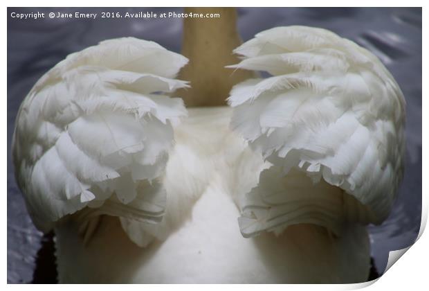 Wings of a Swan Print by Jane Emery