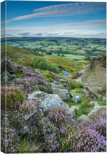 Heather on the Moors, Rosedale, North York Moors  Canvas Print by Martin Williams