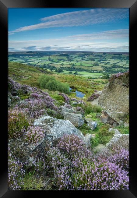 Heather on the Moors, Rosedale, North York Moors  Framed Print by Martin Williams