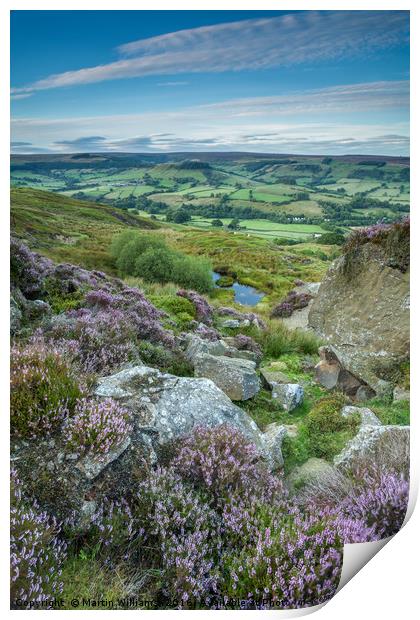 Heather on the Moors, Rosedale, North York Moors  Print by Martin Williams