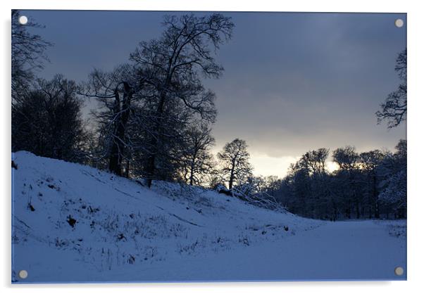 Winter sky Acrylic by Lizziee Cox