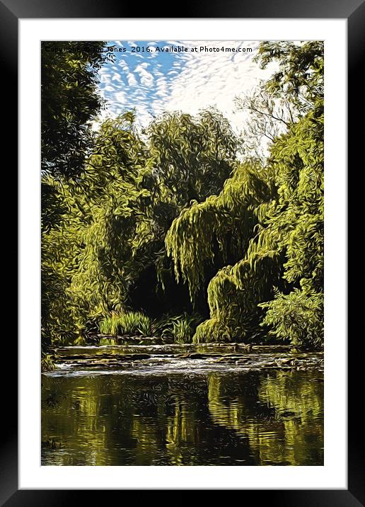 Artistic Weeping Willows and Water Framed Mounted Print by Jim Jones