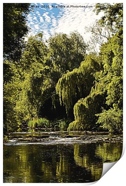 Artistic Weeping Willows and Water Print by Jim Jones