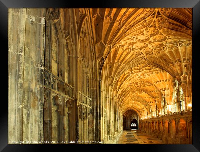 The Cloisters of Gloucester Cathedral Framed Print by Colin Woods