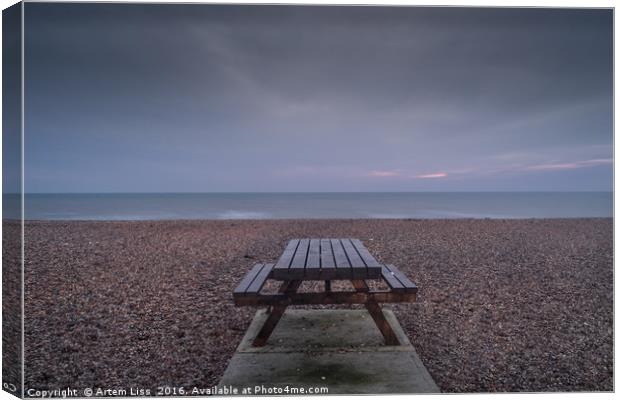 Looking out to sea Canvas Print by Artem Liss