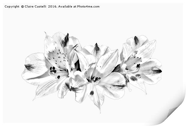Lilies Print by Claire Castelli
