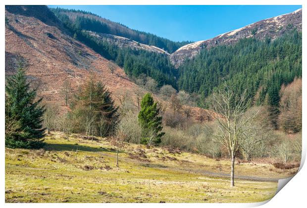 The Hills above Blaencwm Rhondda Print by Nick Jenkins