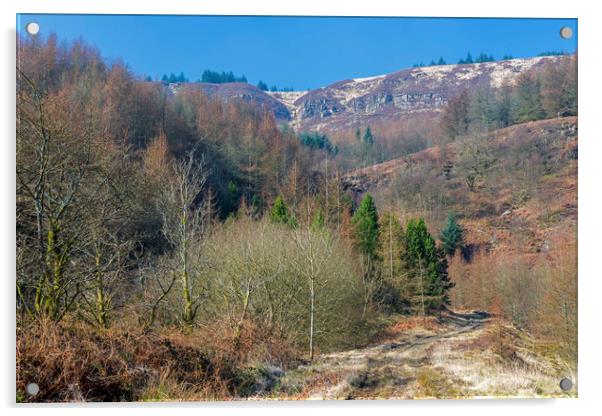 The Rocky Hills above Blaenrhondda Village Wales Acrylic by Nick Jenkins