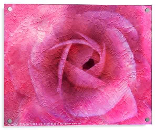 Summer Rose Art Acrylic by Zahra Majid