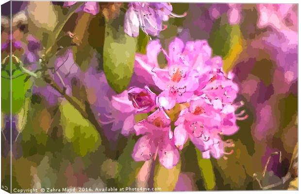 Pink Flower Art Canvas Print by Zahra Majid
