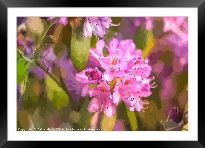 Pink Flower Art Framed Mounted Print by Zahra Majid