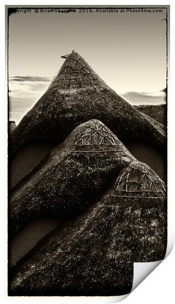 Thatched Roof, Hope Cove, Devon Print by Brian Sharland