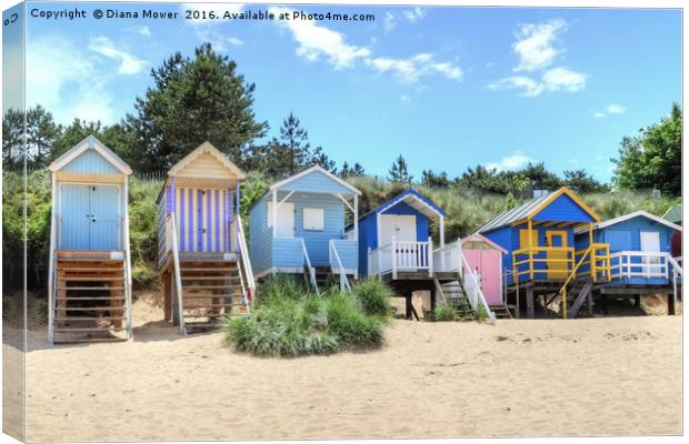 Wells next the sea Norfolk Canvas Print by Diana Mower