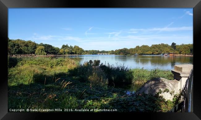 The serpentine, Hyde Park Framed Print by Sade Crampton Mille