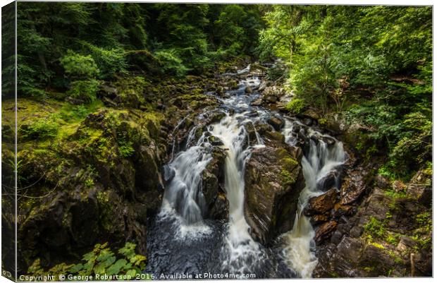 The Black Linn falls at the Hermitage in Perthshir Canvas Print by George Robertson