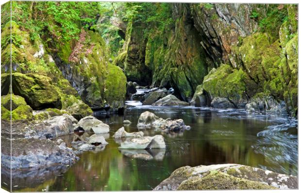 Fairy Glen near Betws y Coed on the River Conwy Canvas Print by Nick Jenkins
