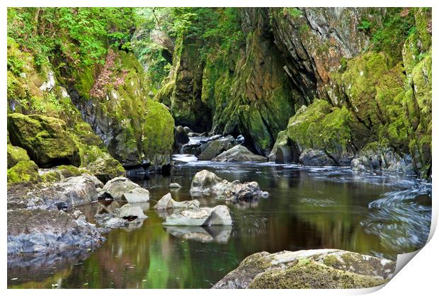 Fairy Glen near Betws y Coed on the River Conwy Print by Nick Jenkins