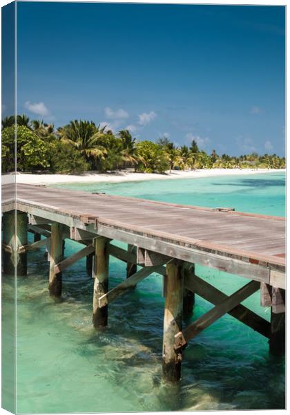 Walkway to white sands Canvas Print by George Cairns