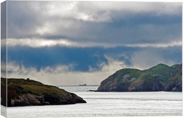 Ramsey Sound north Pembrokeshire Coast Wales Canvas Print by Nick Jenkins