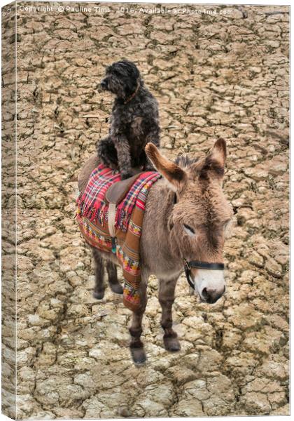 Travelling Donkey and Friend Canvas Print by Pauline Tims