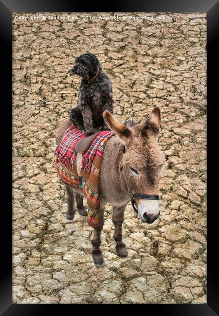 Travelling Donkey and Friend Framed Print by Pauline Tims