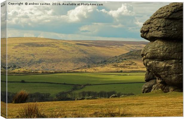ROCK FACE Canvas Print by andrew saxton