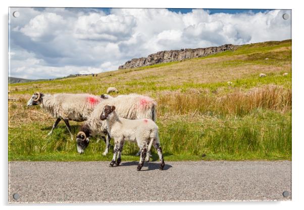 Sheep at Stanage Edge Acrylic by George Cairns