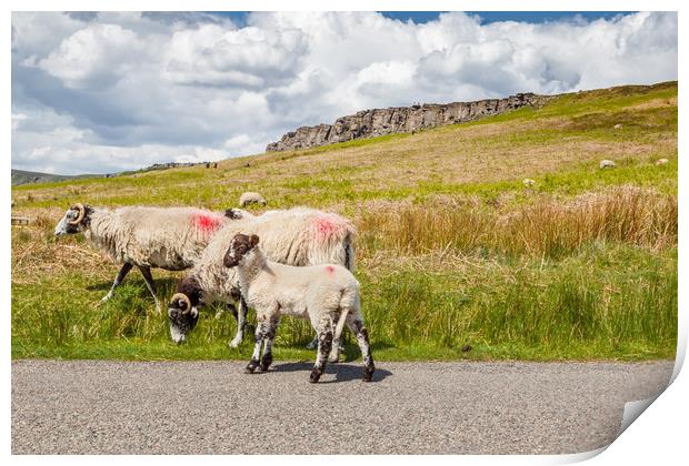 Sheep at Stanage Edge Print by George Cairns