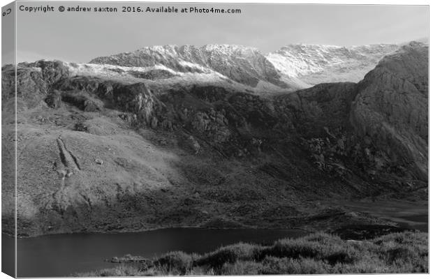 GREY COLD AND BEAUTIFUL Canvas Print by andrew saxton