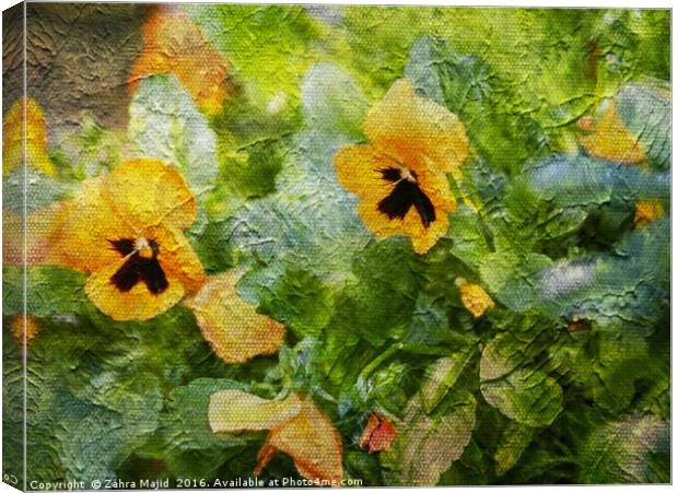 Yellow Pansies Like a Painting Canvas Print by Zahra Majid